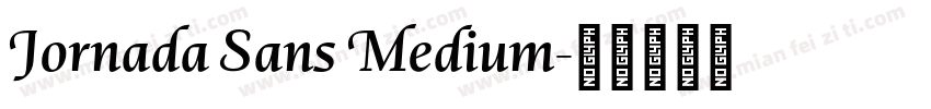 Jornada Sans Medium字体转换